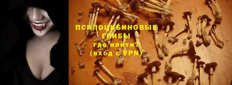 Галлюциногенные грибы Magic Shrooms  Верхний Тагил 